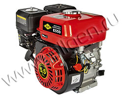 Бензиновый двигатель DDE E550-S20 
