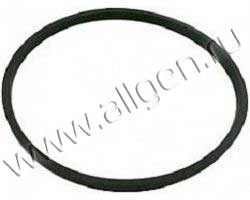 Уплотнение Baldwin G1086-AF