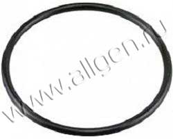 Уплотнение Baldwin G173-C