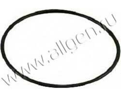 Уплотнение Baldwin G229