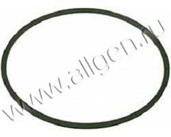 Уплотнение Baldwin G263