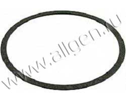 Уплотнение Baldwin G268