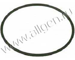 Уплотнение Baldwin G363