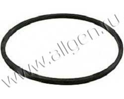 Прокладка Baldwin G369-V