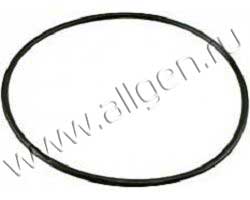 Уплотнение Baldwin G37-AF