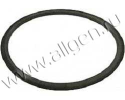 Уплотнение Baldwin G422-AF