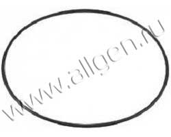 Уплотнение Baldwin G443