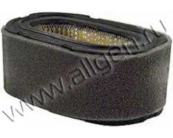 Воздушный фильтр Baldwin PA30017