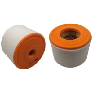 Воздушный фильтр MANN-FILTER C 15010