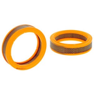 Воздушный фильтр Filtron AR 224