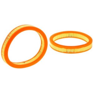 Воздушный фильтр Filtron AE 251