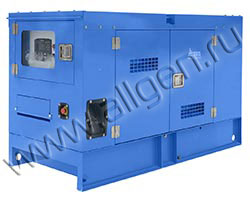 Дизельный генератор ТСС АД-16С-Т400-1РМ19/1РКМ19