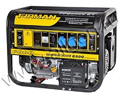 Бензиновый генератор FIRMAN FPG8800E1