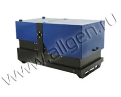Бензиновый генератор REG PG10.0-230-S