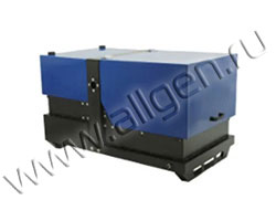 Бензиновый генератор REG PG12.0-230-S