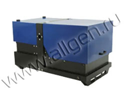 Бензиновый генератор REG PG14.0-230-S