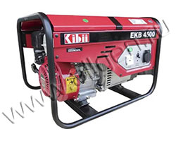 Бензиновый генератор REG PG2.0-230