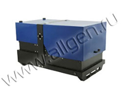 Бензиновый генератор REG PG8.0-230-S