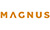 Логотип компании MAGNUS